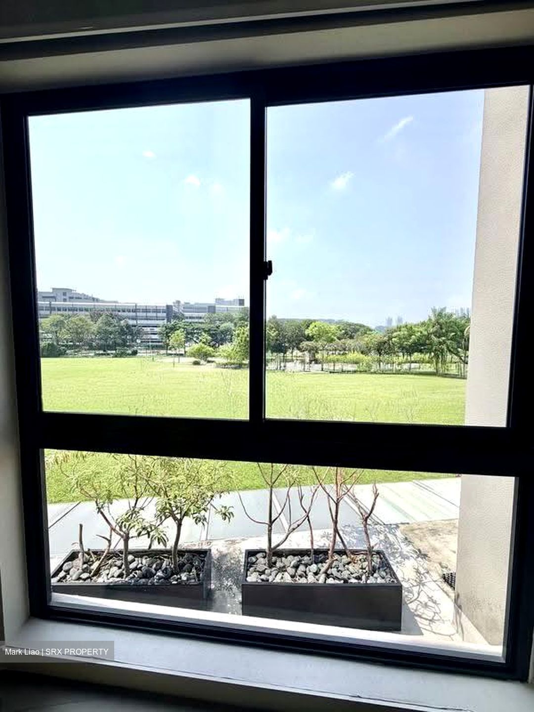 Nim Collection (D28), Terrace #624935211